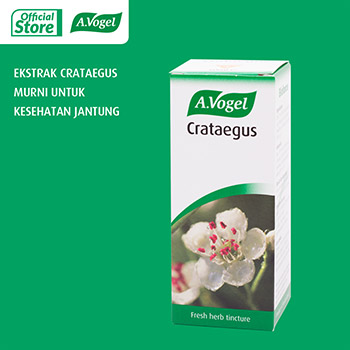 A.Vogel Cratageus 50ml