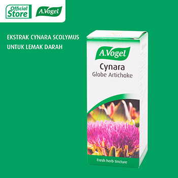 A.Vogel Cynara