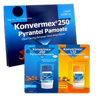 KONVERMEX