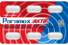 PARAMEX AKTIF
